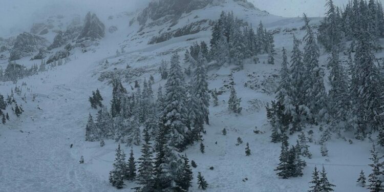 Një skiator humb jetën nga një ortek