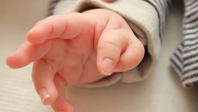 Këto janë arsyet se pse disa fëmijë lindin me 6 e shumë gishta