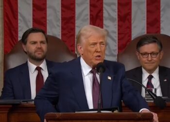 Trumpi: Amerika ka vendosur, ne do ta marrim Grenlandën