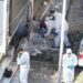 Vdes gruaja i shpërtheu bomba në duar