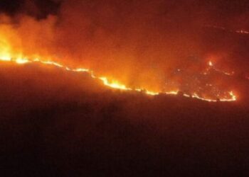 Zjarr masiv në Devoll e drejt Kapshticës