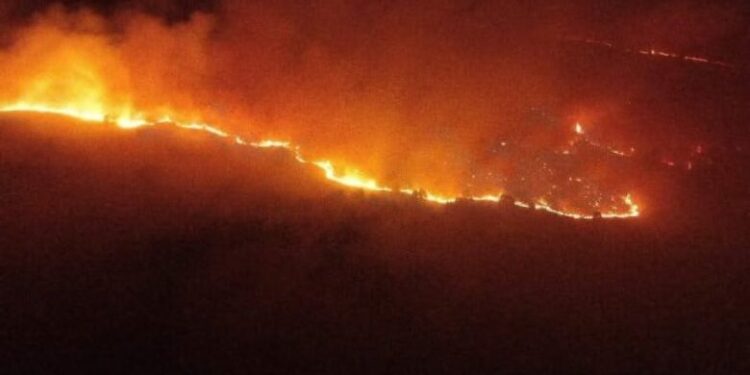 Zjarr masiv në Devoll e drejt Kapshticës