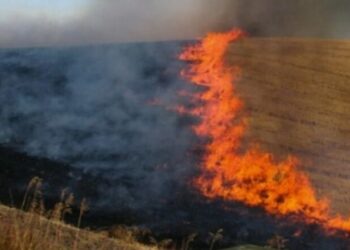 Alarmante mbi 41 zjarre aktive në Kosovë