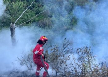 32 vatra zjarri në 24 orët e fundit në Shqipëri