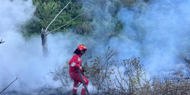 32 vatra zjarri në 24 orët e fundit në Shqipëri