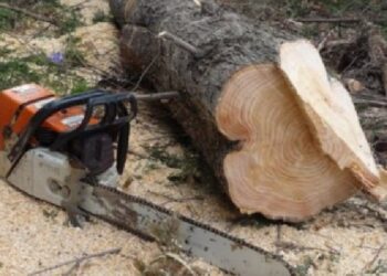 Vdes 31-vjeçari, në Gollak u mbyt nga lisi