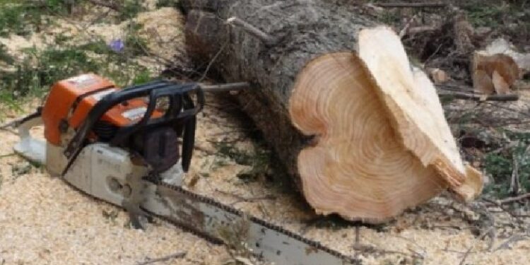 Vdes 31-vjeçari, në Gollak u mbyt nga lisi