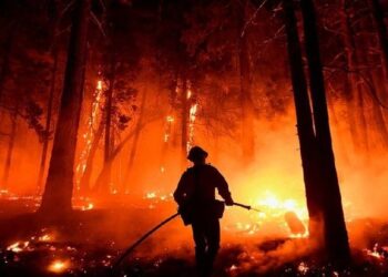 Kush po e bënë shkrumb e hi Evropën me zjarret masive?