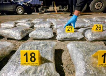 Mbi 200 kilogramë drogë u kapen në Prishtinë, çka dihet deri më tani?