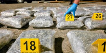 Mbi 200 kilogramë drogë u kapen në Prishtinë, çka dihet deri më tani?