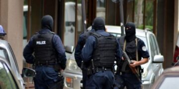 Arrestohën pesë persona Policia gjen drogë, armë e municion në Prizren