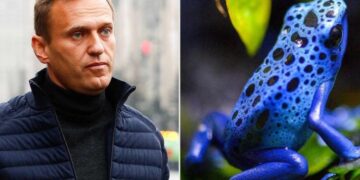 “U helmua nga toksina e bretkosës”, flet nëna: E dija që e kanë vrarë