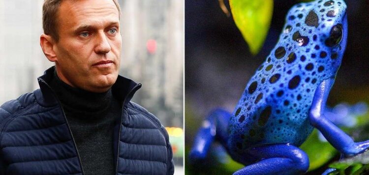 “U helmua nga toksina e bretkosës”, flet nëna: E dija që e kanë vrarë